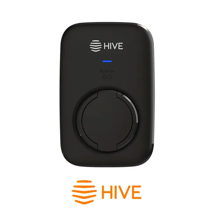 hive